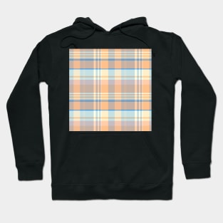 Spring Aesthetic Iona 1 Hand Drawn Textured Plaid Pattern Hoodie